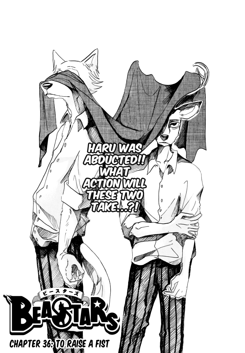 Beastars Chapter 36 page 1 - Chapter 36: To Raise a Fist