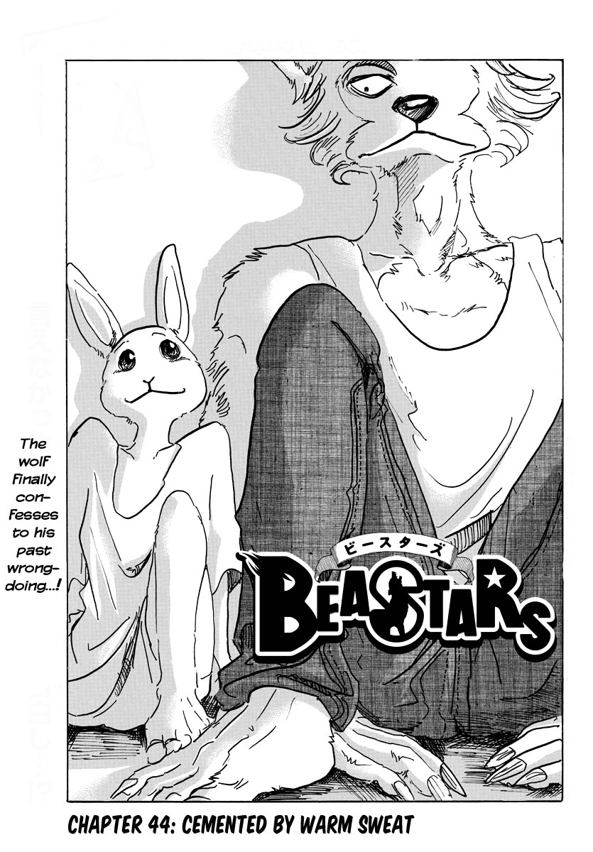 Beastars Chapter 44 page 1 - Chapter 44: Cemented by Warm Sweat