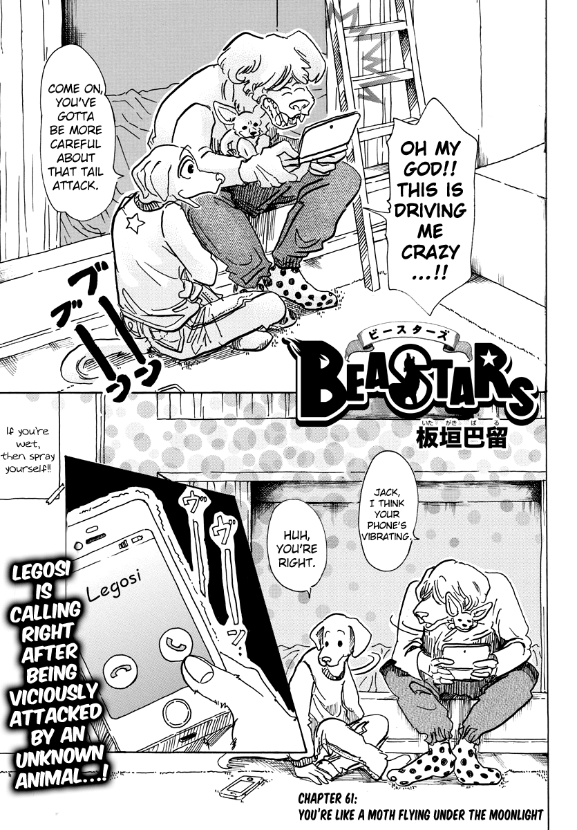 Beastars Chapter 61 page 1 - Chapter 61: You're LIke a Moth Flying Under the Moonlight