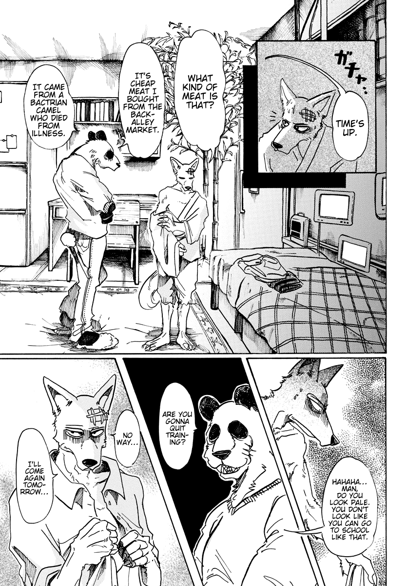Beastars Chapter 63 page 9 - Chapter 63: Lighting Oil on Fire!