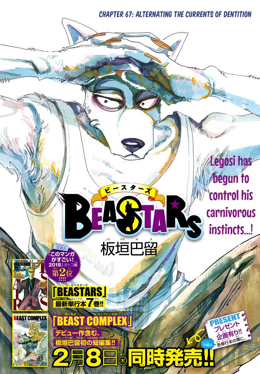 Beastars Chapter 67 page 1 - Chapter 67: Alternating the Currents of Dentition