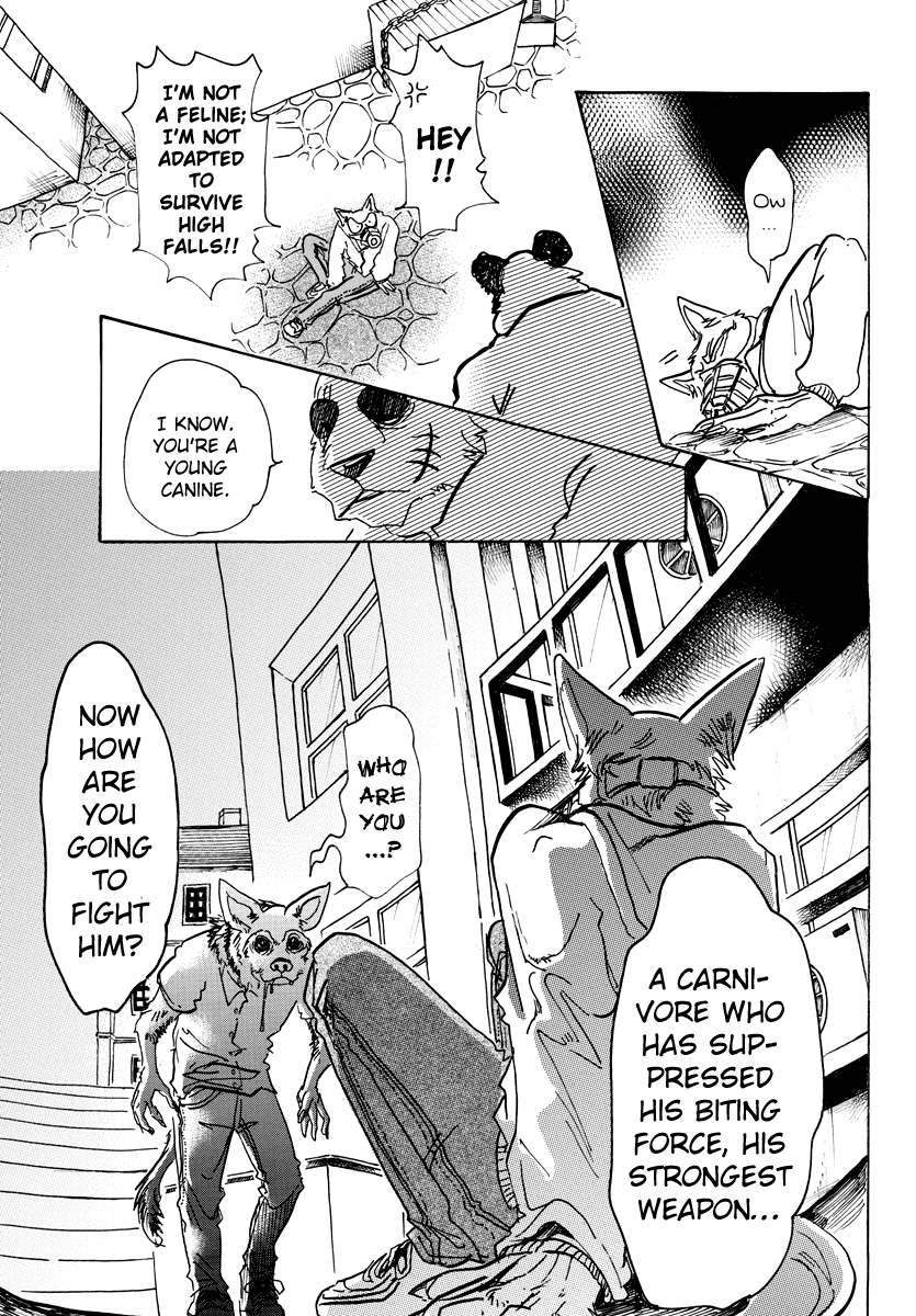 Beastars Chapter 68 page 13 - Chapter 68: Limp Teeth Meets Invigorated Hands