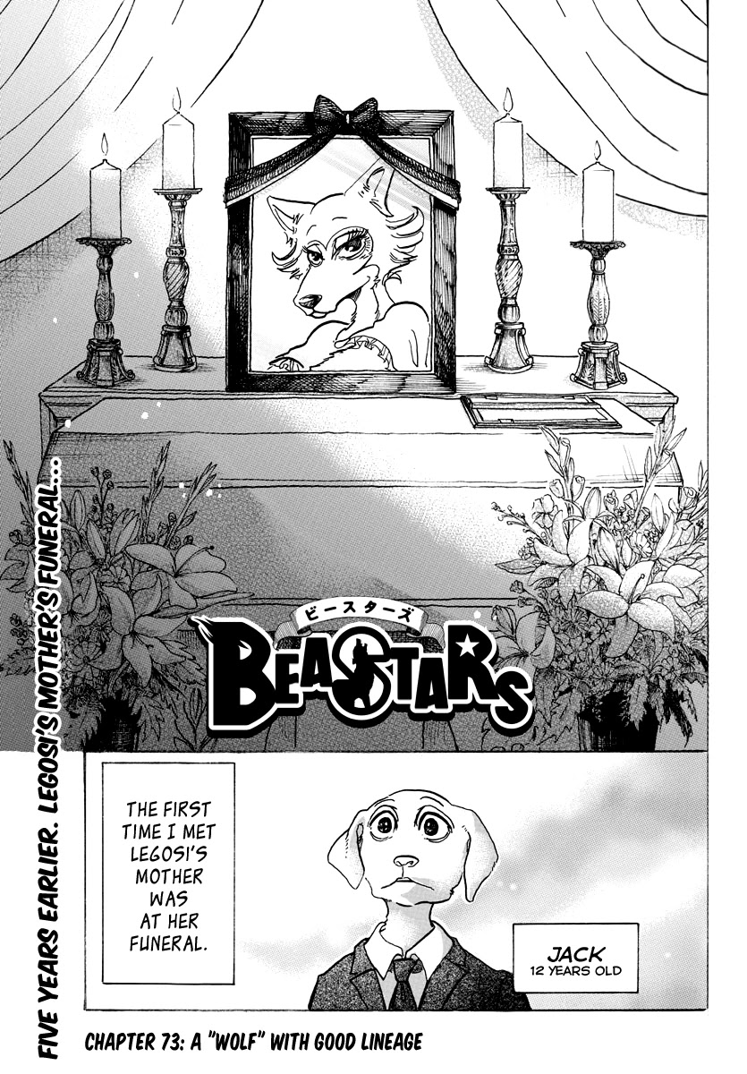 Beastars Chapter 73 page 1 - Chapter 73: A "Wolf" with Good Lineage