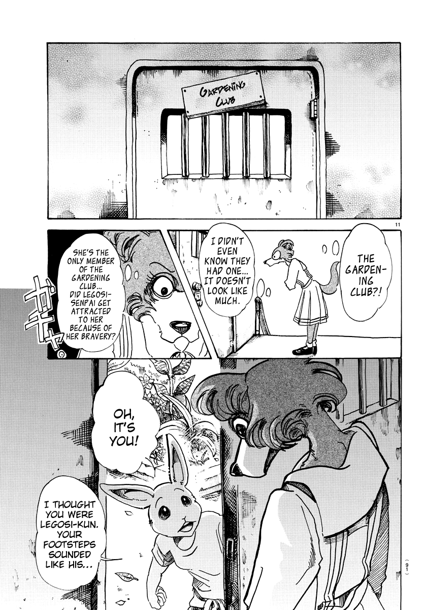 Beastars Chapter 79 page 11 - Chapter 79: A Lingerie-to-Lingerie Talk