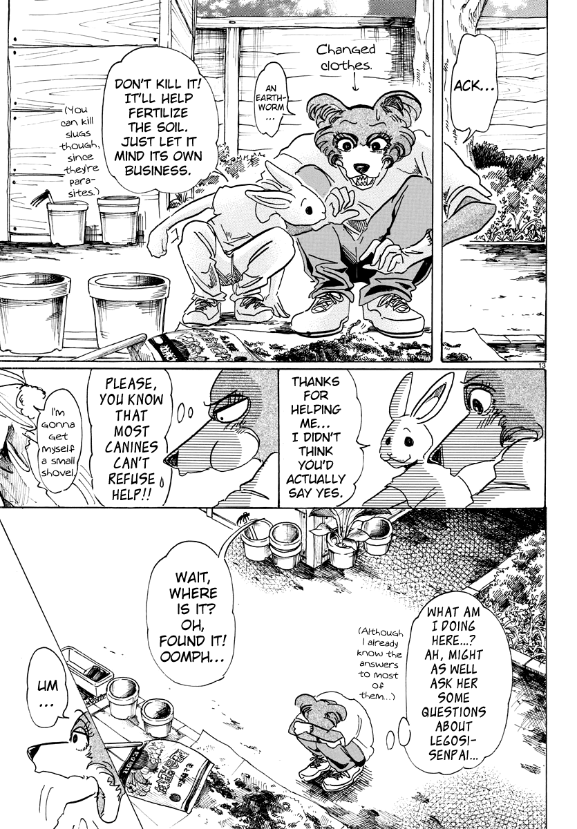 Beastars Chapter 79 page 13 - Chapter 79: A Lingerie-to-Lingerie Talk