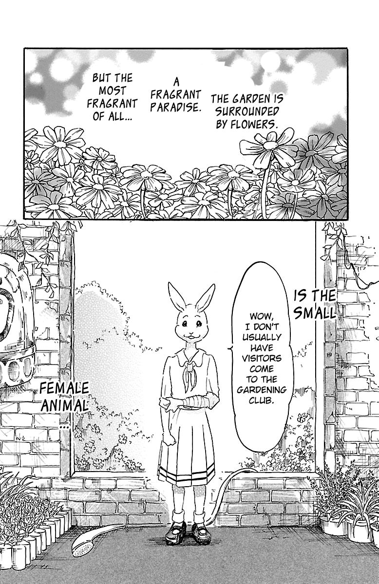 Beastars Chapter 8 page 4 - Chapter 8: The Godmother Sighs