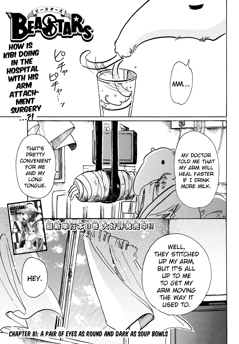 Beastars Chapter 81 page 1 - Chapter 81: A Pair of Eyes as Dark and Round as Soup Bowls