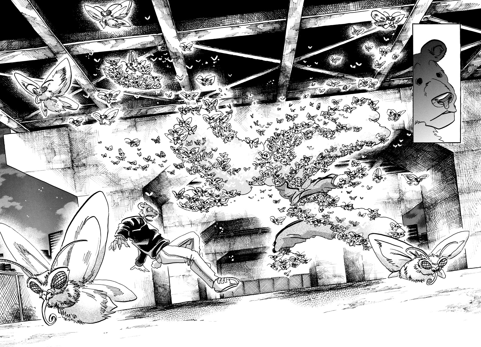 Beastars Chapter 93 page 12 - Chapter 93: A Piece of Golden Hair on My Shirt, Now in My Pocket