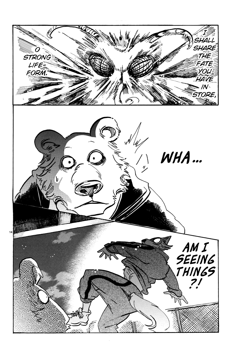 Beastars Chapter 93 page 13 - Chapter 93: A Piece of Golden Hair on My Shirt, Now in My Pocket