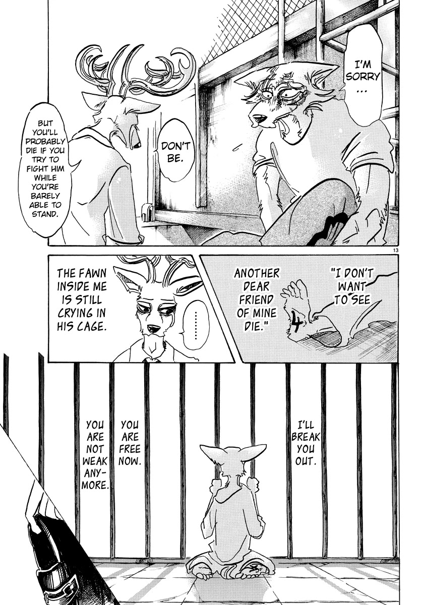 Beastars Chapter 95 page 13 - Chapter 95: A Drop of 18-times Concentrate