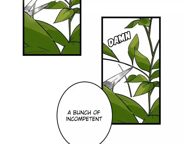 Beauty Game Chapter 2.0 page 5 - Vol.2 Chapter 0: Prologue – Beauty Game APP upgrade?