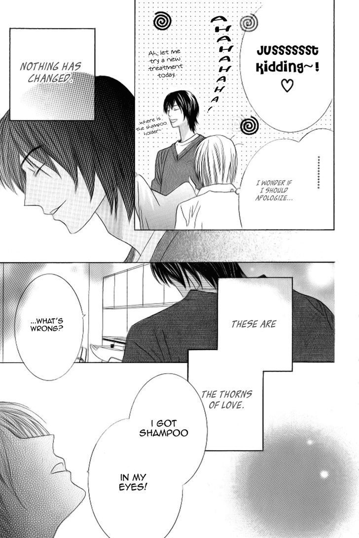 Beauty Honey Chapter 11 page 28 - Chapter 11