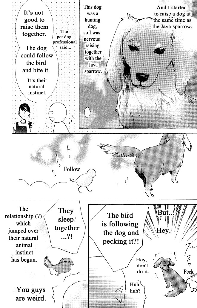 Beauty Honey Chapter 12 page 35 - Chapter 12