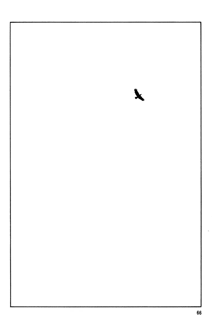 Beck Chapter 43 page 65 - Chapter 43