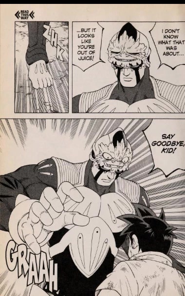Beet the Vandel Buster Chapter 45 page 17 - Chapter 45: The Deadly Technique!!