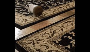 Behind the GIFs Chapter 1 page 7 - Chapter 1