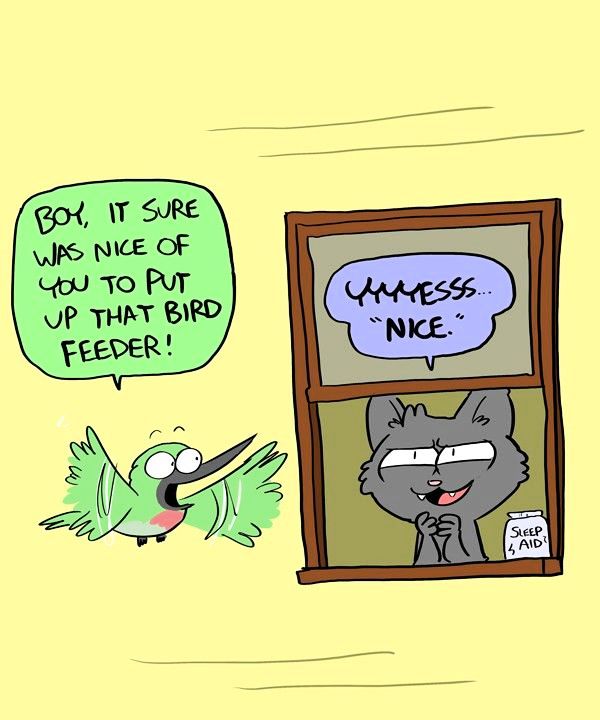 Behind the GIFs Chapter 109 page 2 - Chapter 109 : The Feeder Plot - Andy Stuart