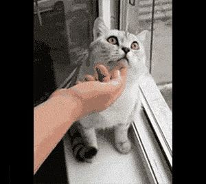 Behind the GIFs Chapter 12 page 6 - Chapter 12