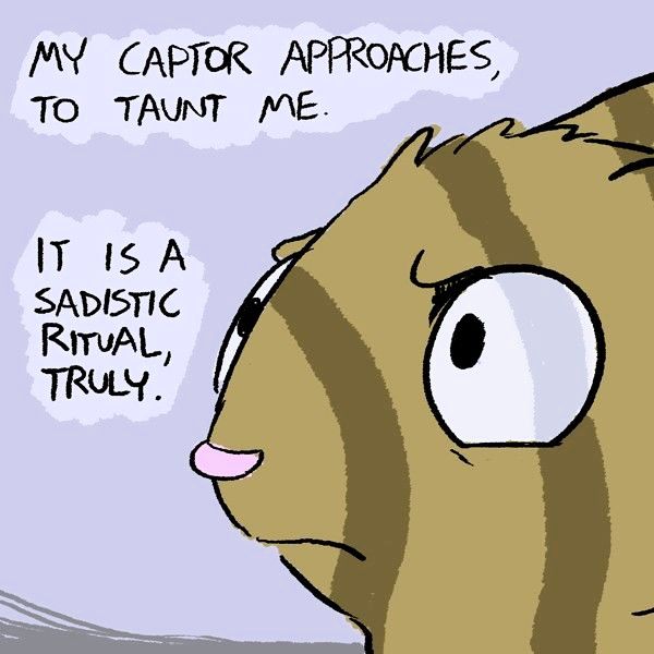 Behind the GIFs Chapter 137 page 3 - Chapter 137 : Live Free or Die - Andy Stuart