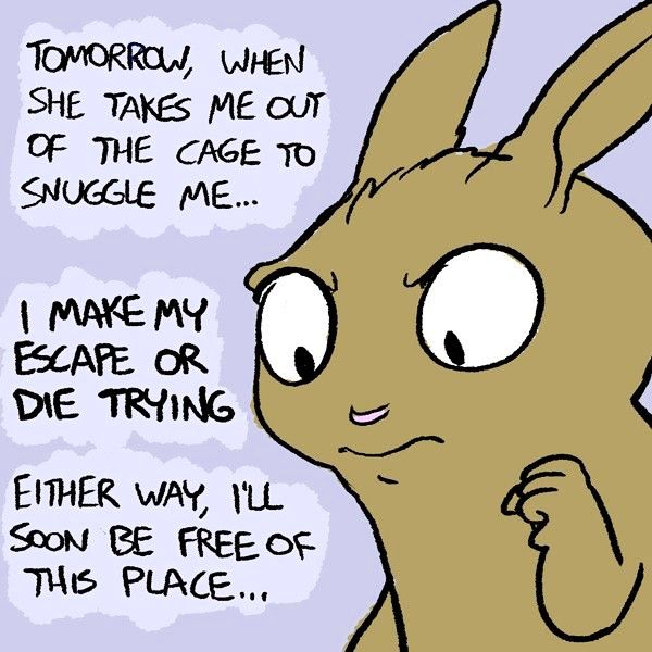 Behind the GIFs Chapter 137 page 7 - Chapter 137 : Live Free or Die - Andy Stuart