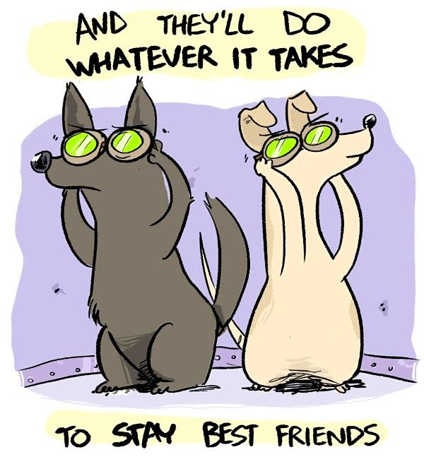 Behind the GIFs Chapter 146 page 3 - Chapter 146 : Danny and Pete - AC Stuart