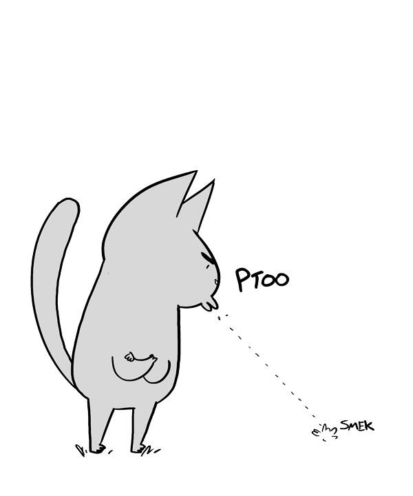Behind the GIFs Chapter 161 page 5 - Chapter 161