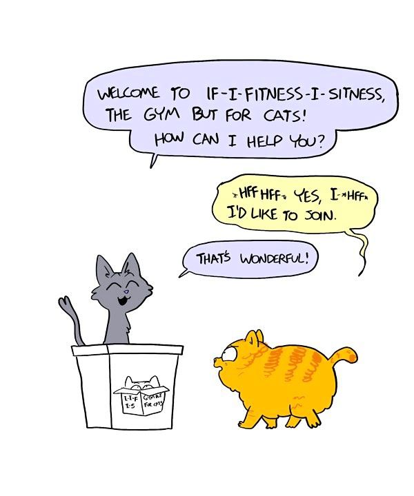 Behind the GIFs Chapter 165 page 2 - Chapter 165