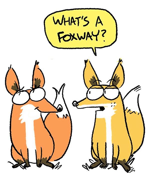 Behind the GIFs Chapter 17 page 5 - Chapter 17 : Foxtalk - ACStuart