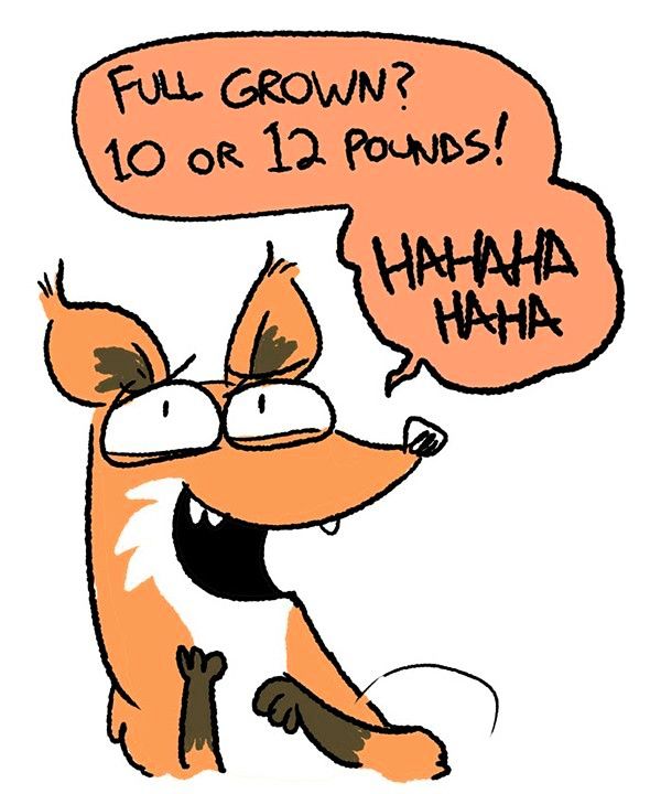 Behind the GIFs Chapter 17 page 6 - Chapter 17 : Foxtalk - ACStuart