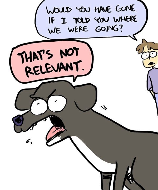 Behind the GIFs Chapter 194 page 5 - Chapter 194