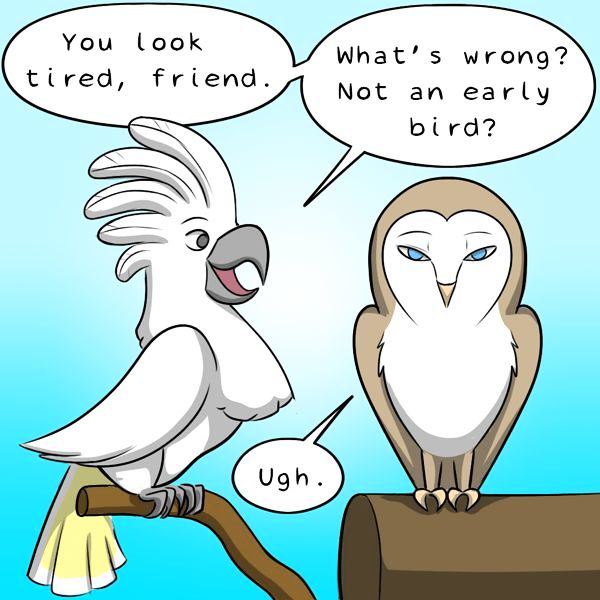 Behind the GIFs Chapter 204 page 2 - Chapter 204