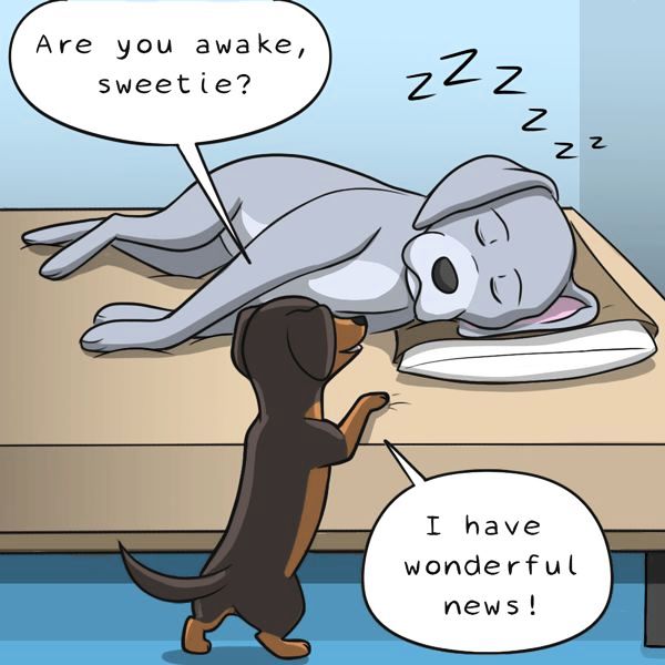 Behind the GIFs Chapter 208 page 2 - Chapter 208
