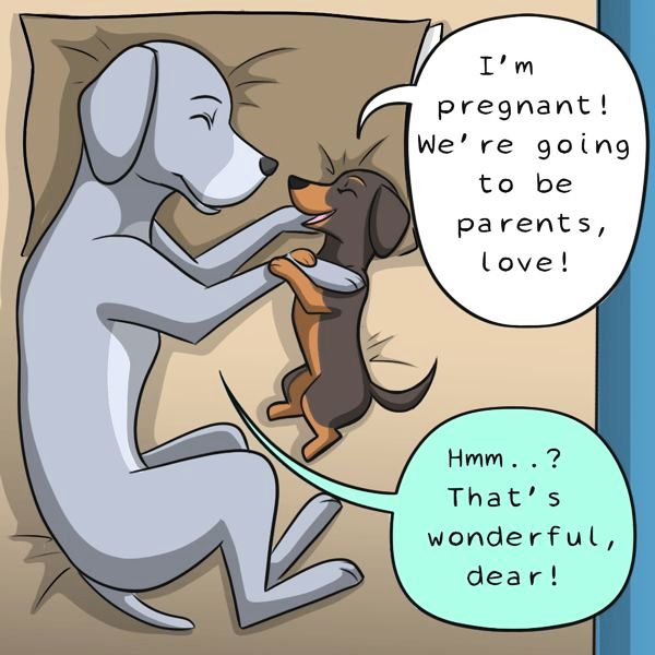 Behind the GIFs Chapter 208 page 3 - Chapter 208