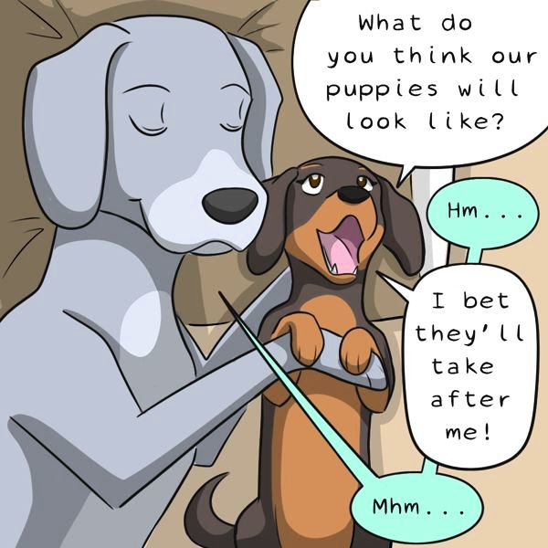 Behind the GIFs Chapter 208 page 4 - Chapter 208