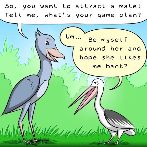Behind the GIFs Chapter 224 page 2 - Chapter 224
