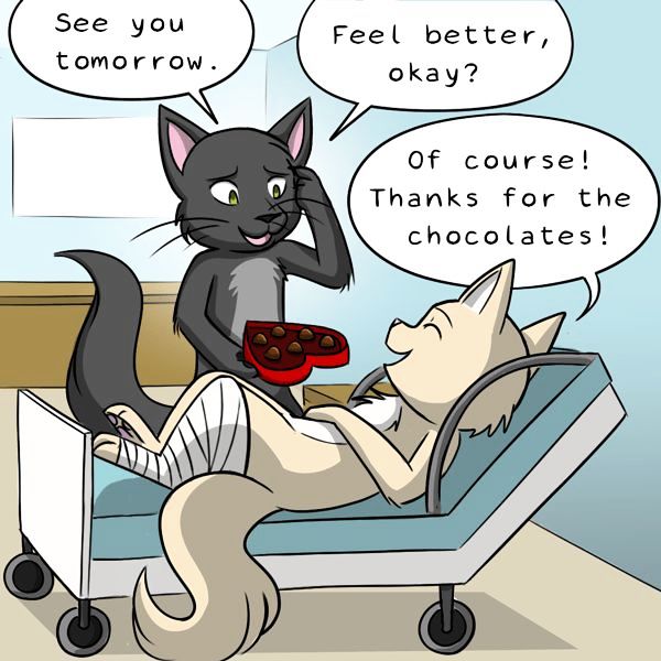 Behind the GIFs Chapter 227 page 2 - Chapter 227