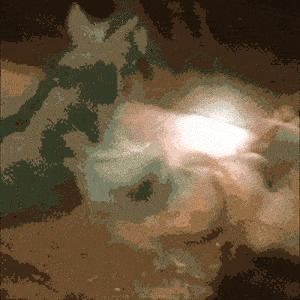 Behind the GIFs Chapter 23 page 10 - Chapter 23 : Iguana Rage - Kat Swenski