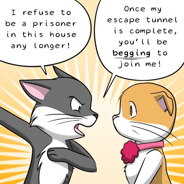 Behind the GIFs Chapter 232 page 4 - Chapter 232