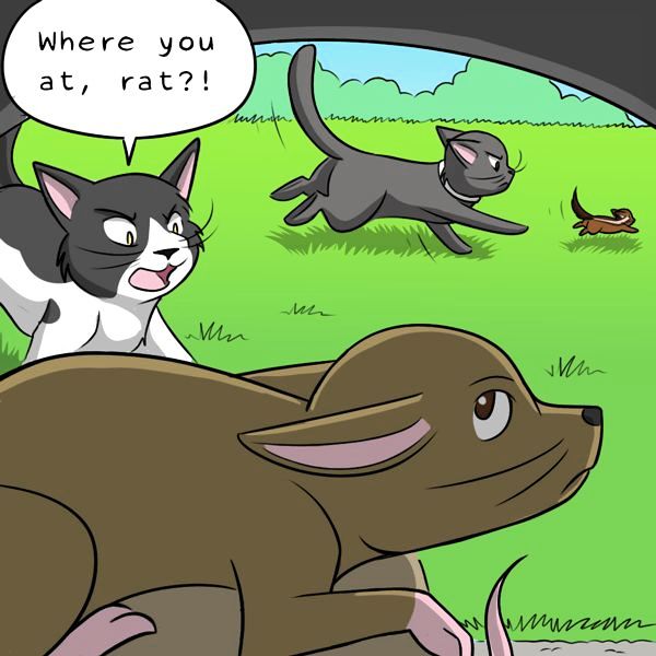 Behind the GIFs Chapter 235 page 6 - Chapter 235