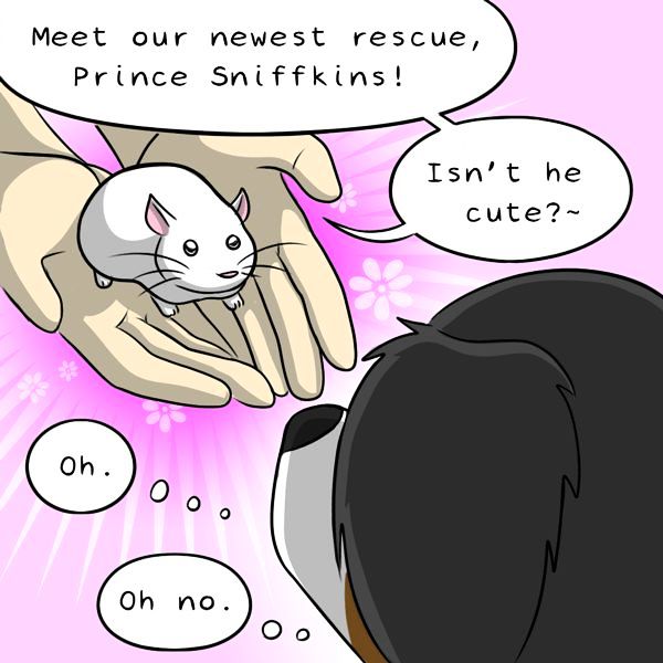 Behind the GIFs Chapter 240 page 7 - Chapter 240