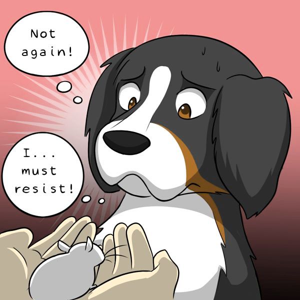 Behind the GIFs Chapter 240 page 8 - Chapter 240