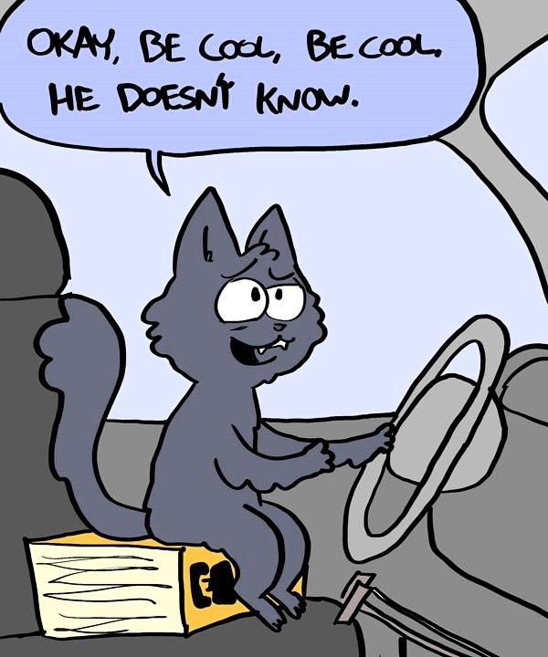 Behind the GIFs Chapter 241 page 2 - Chapter 241