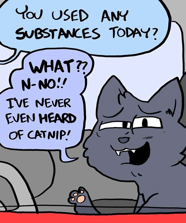 Behind the GIFs Chapter 241 page 4 - Chapter 241