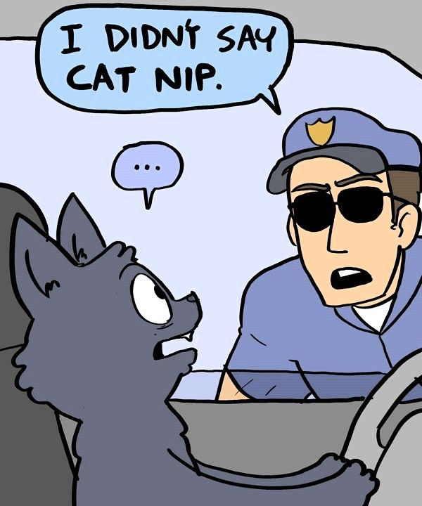 Behind the GIFs Chapter 241 page 5 - Chapter 241