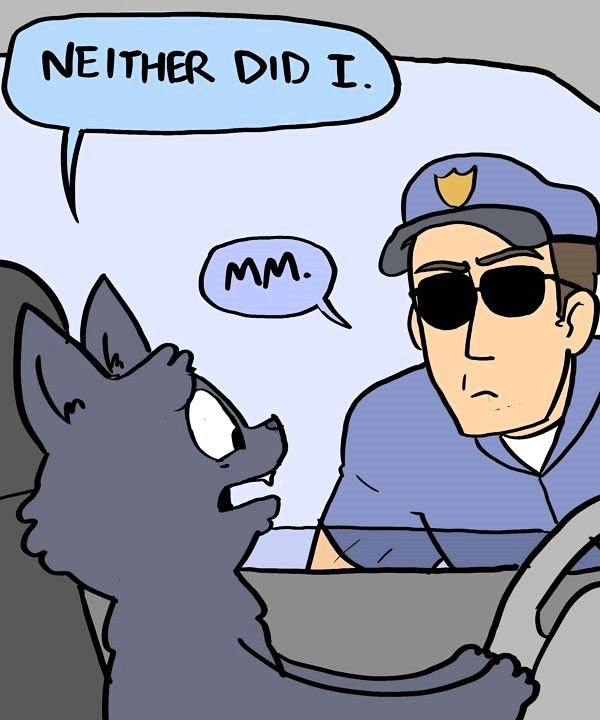 Behind the GIFs Chapter 241 page 6 - Chapter 241