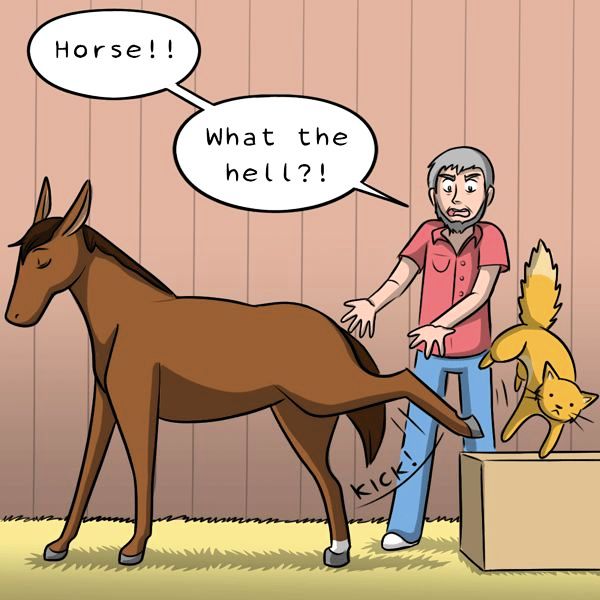 Behind the GIFs Chapter 255 page 3 - Chapter 255