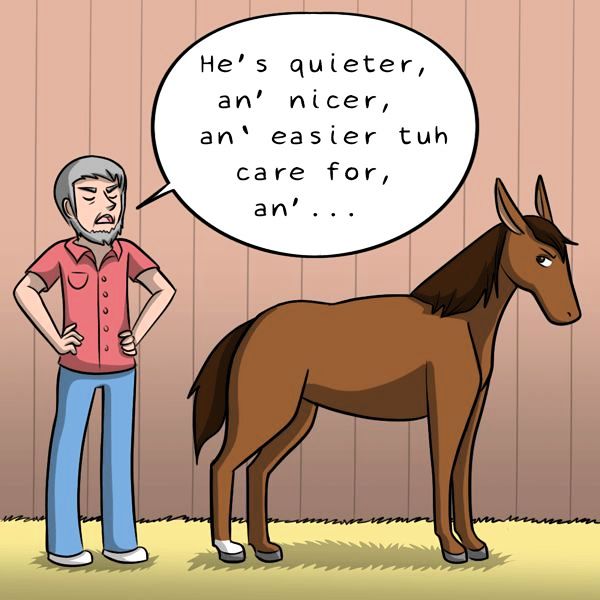Behind the GIFs Chapter 255 page 5 - Chapter 255
