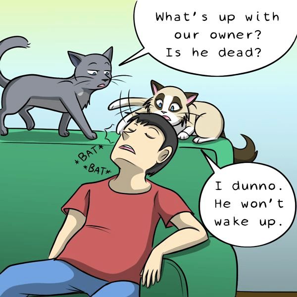 Behind the GIFs Chapter 267 page 2 - Chapter 267