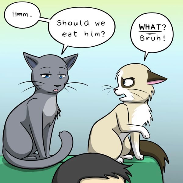 Behind the GIFs Chapter 267 page 3 - Chapter 267