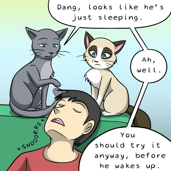 Behind the GIFs Chapter 267 page 6 - Chapter 267